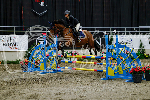 2025 - Haylee - Royal West - Thursday October 16th - 01346