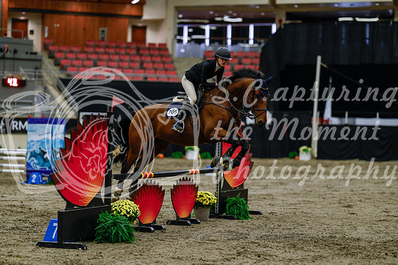 2025 - Haylee - Royal West - Thursday October 16th - 01352