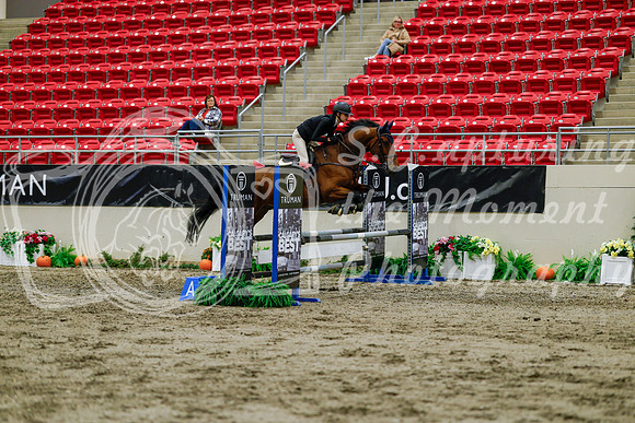 2025 - Haylee - Royal West - Thursday October 16th - 01353