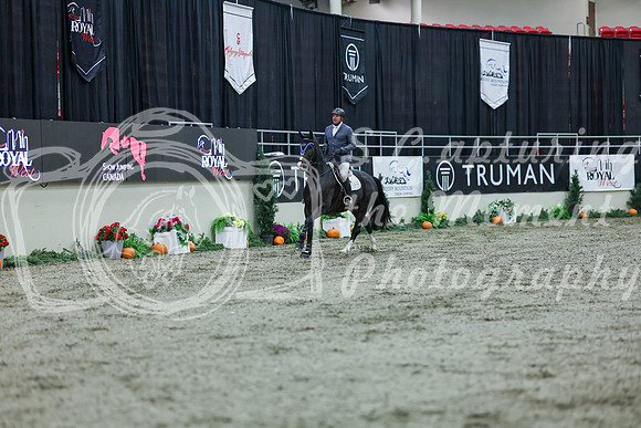 2025 - Shea - Royal West - Thursday October 16th - 03661