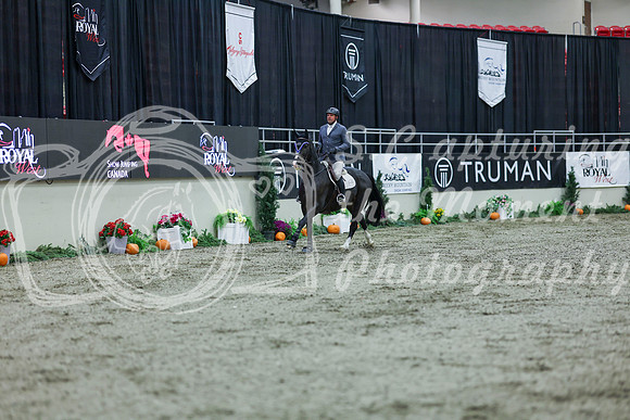 2025 - Shea - Royal West - Thursday October 16th - 03662