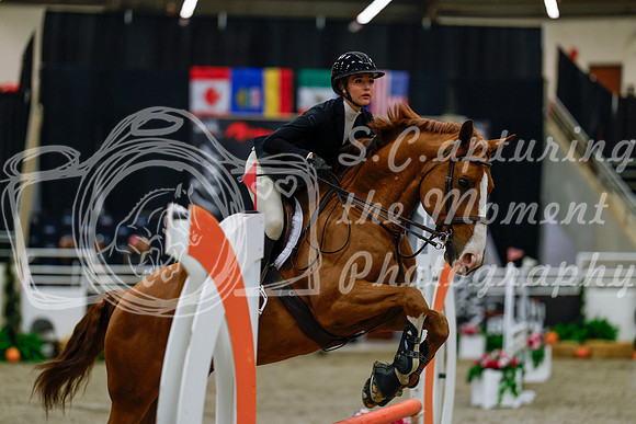 2025 - Haylee - Royal West - Thursday October 16th - 00071