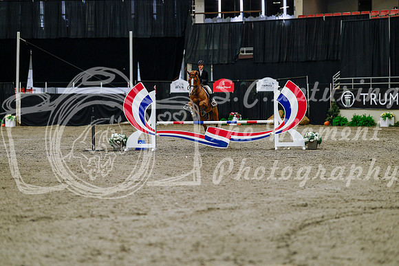 2025 - Haylee - Royal West - Thursday October 16th - 00078