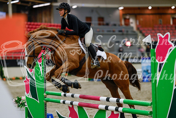 2025 - Haylee - Royal West - Thursday October 16th - 00092