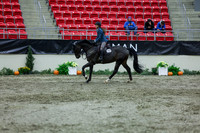 2025 - Shea - Royal West - Thursday October 16th - 05747