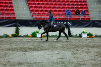 2025 - Shea - Royal West - Thursday October 16th - 05748
