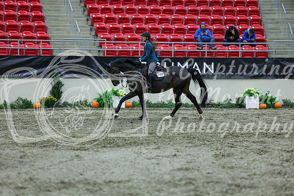 2025 - Shea - Royal West - Thursday October 16th - 05749