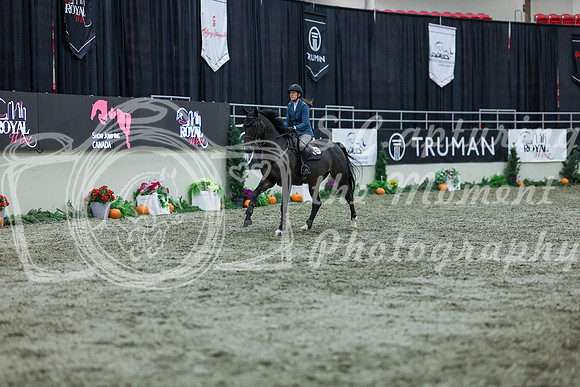 2025 - Shea - Royal West - Thursday October 16th - 05759