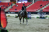 2025 - Shea - Royal West - Thursday October 16th - 03852