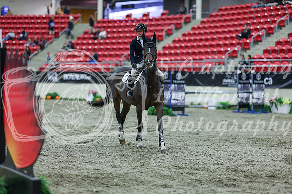 2025 - Shea - Royal West - Thursday October 16th - 03852