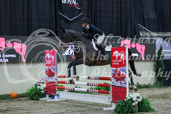 2025 - Shea - Royal West - Thursday October 16th - 03872