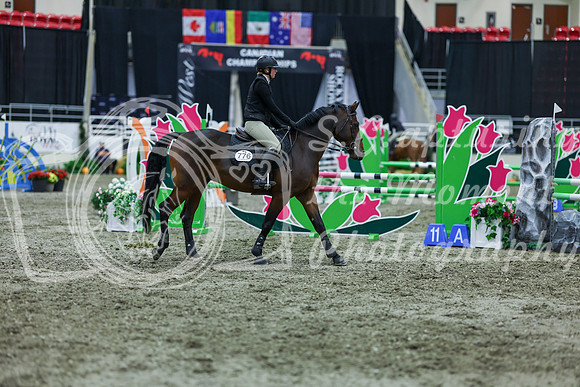 2025 - Shea - Royal West - Thursday October 16th - 06407