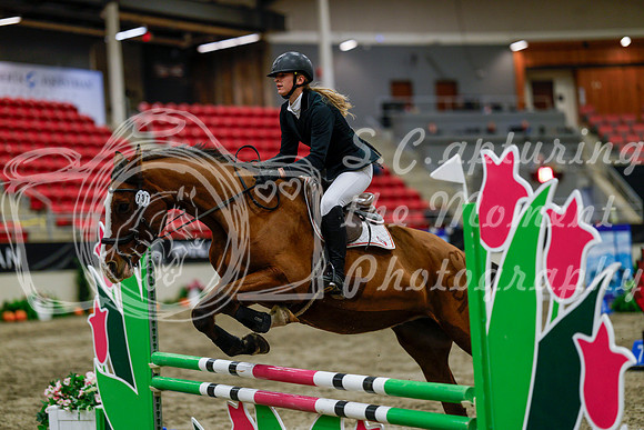 2025 - Haylee - Royal West - Thursday October 16th - 02793