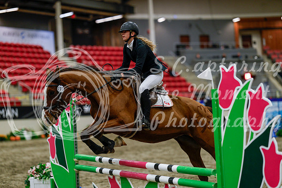 2025 - Haylee - Royal West - Thursday October 16th - 02794