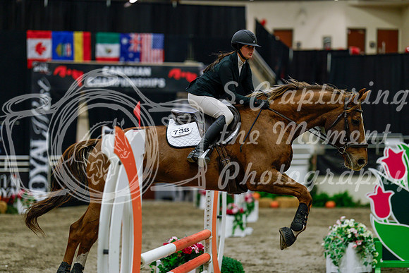 2025 - Haylee - Royal West - Thursday October 16th - 02527