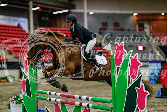 2025 - Haylee - Royal West - Thursday October 16th - 02530