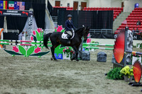 2025 - Shea - Royal West - Thursday October 16th - 06070