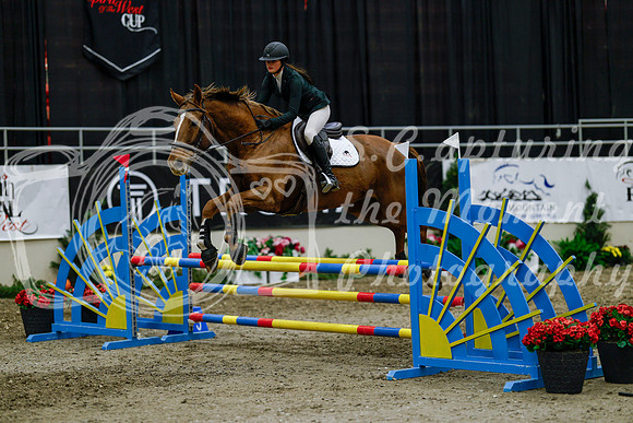 2025 - Haylee - Royal West - Thursday October 16th - 02538