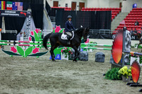 2025 - Shea - Royal West - Thursday October 16th - 06071