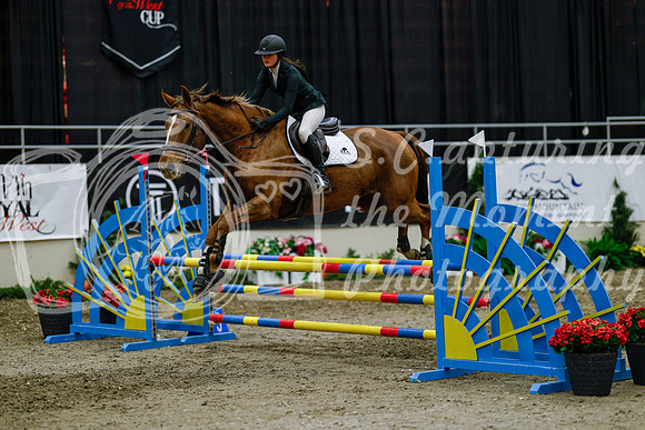 2025 - Haylee - Royal West - Thursday October 16th - 02540