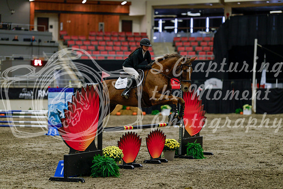 2025 - Haylee - Royal West - Thursday October 16th - 02544