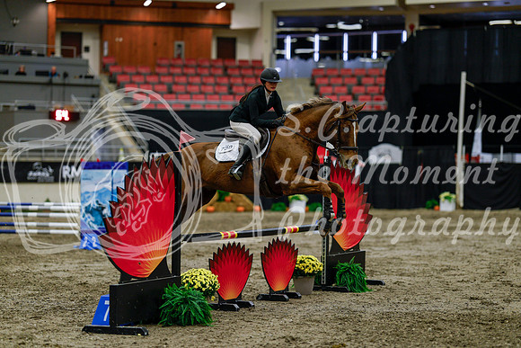 2025 - Haylee - Royal West - Thursday October 16th - 02545