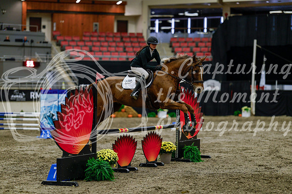 2025 - Haylee - Royal West - Thursday October 16th - 02546