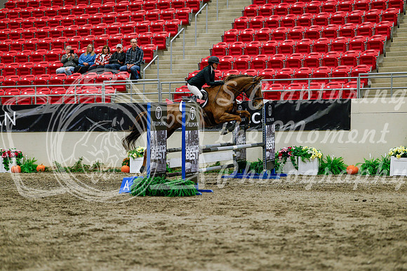 2025 - Haylee - Royal West - Thursday October 16th - 02548