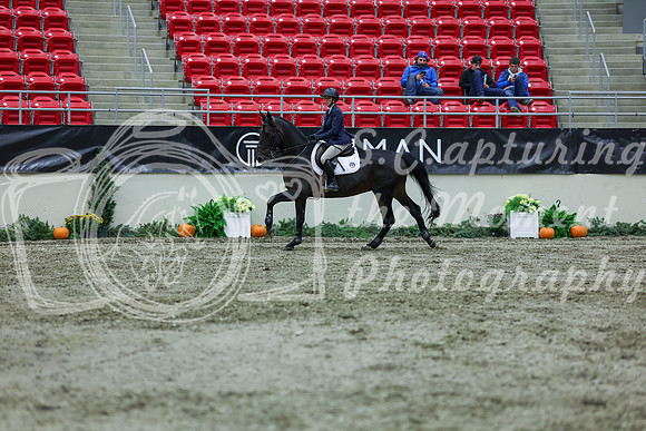 2025 - Shea - Royal West - Thursday October 16th - 06096