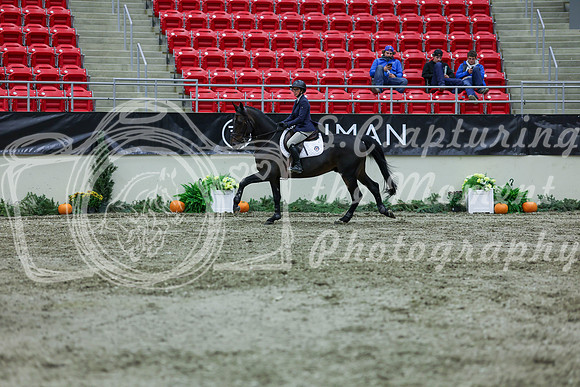 2025 - Shea - Royal West - Thursday October 16th - 06097