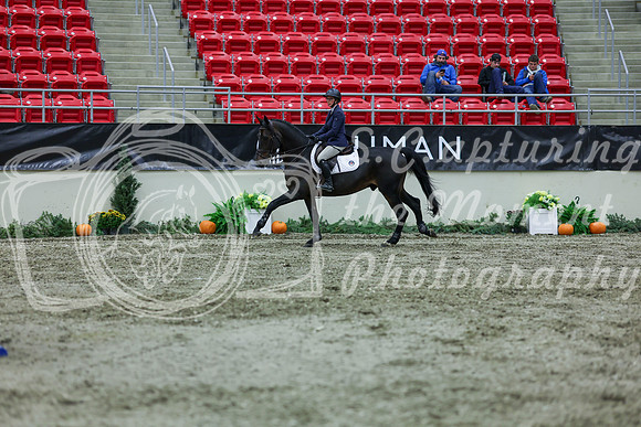 2025 - Shea - Royal West - Thursday October 16th - 06098