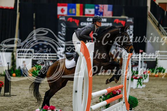 2025 - Haylee - Royal West - Thursday October 16th - 02798