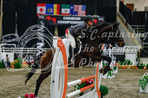 2025 - Haylee - Royal West - Thursday October 16th - 02801