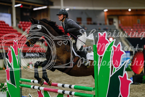 2025 - Haylee - Royal West - Thursday October 16th - 02810