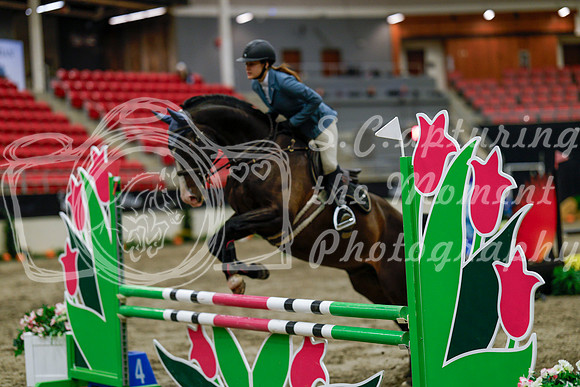 2025 - Haylee - Royal West - Thursday October 16th - 02309