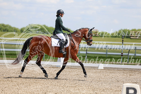 2025 - Dressage Festival - Saturday July 5th - 09429