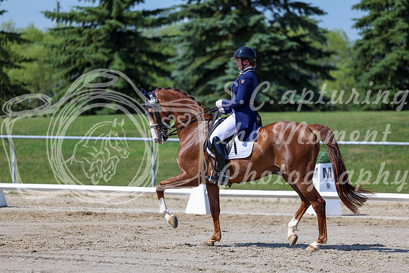 2025 - Dressage Festival - Saturday July 5th - 04261
