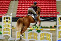 2025 - Haylee - Royal West - Friday October 17th - 02923