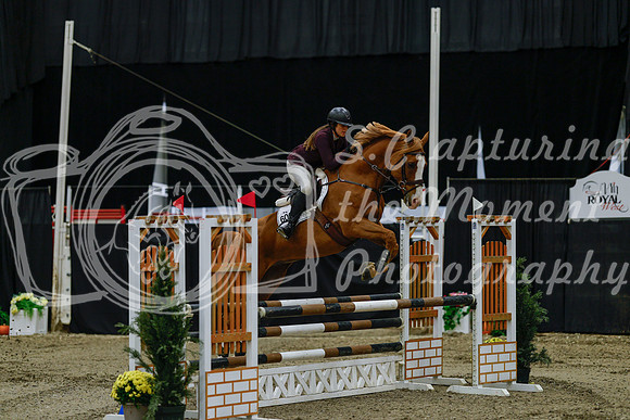 2025 - Haylee - Royal West - Friday October 17th - 02927