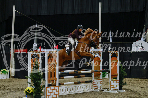 2025 - Haylee - Royal West - Friday October 17th - 02928