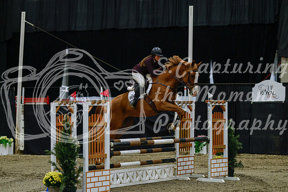 2025 - Haylee - Royal West - Friday October 17th - 02929