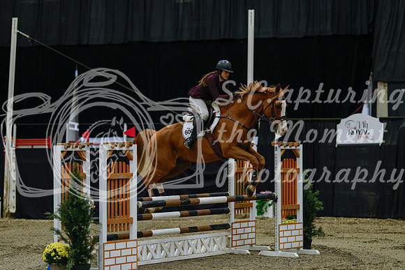 2025 - Haylee - Royal West - Friday October 17th - 02932