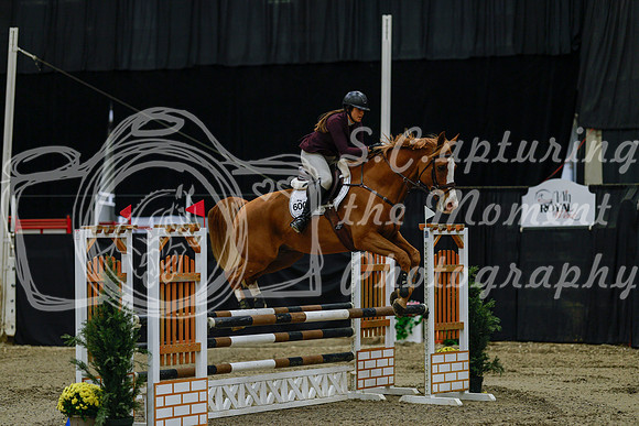 2025 - Haylee - Royal West - Friday October 17th - 02933