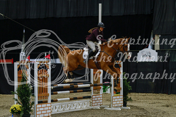 2025 - Haylee - Royal West - Friday October 17th - 02936