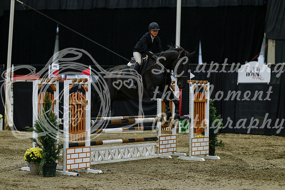 2025 - Haylee - Royal West - Friday October 17th - 03709