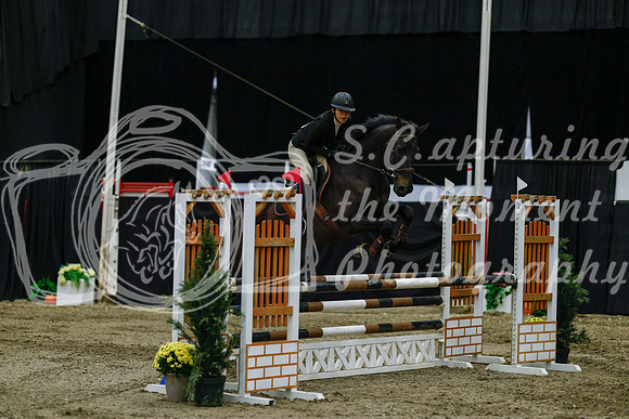 2025 - Haylee - Royal West - Friday October 17th - 03632