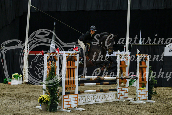 2025 - Haylee - Royal West - Friday October 17th - 03633