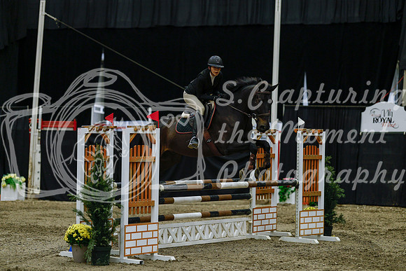 2025 - Haylee - Royal West - Friday October 17th - 03636