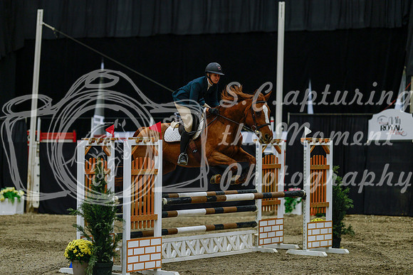 2025 - Haylee - Royal West - Friday October 17th - 03497