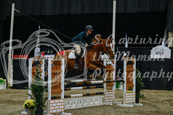 2025 - Haylee - Royal West - Friday October 17th - 03498